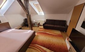 Apartments Zizkov B